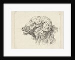 Rams head by Abraham Delfos