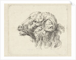 Rams head by Abraham Delfos