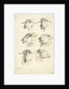 Study Sheet with six sheep heads by Franciscus Andreas Milatz
