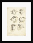 Study Sheet with six sheep heads by Franciscus Andreas Milatz