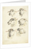 Study Sheet with six sheep heads by Franciscus Andreas Milatz