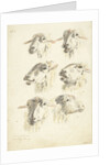 Study Sheet with six sheep heads by Franciscus Andreas Milatz