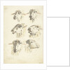 Study Sheet with six sheep heads by Franciscus Andreas Milatz