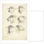 Study Sheet with six sheep heads by Franciscus Andreas Milatz