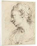 Head of a woman by Pietro Antonio III Novelli