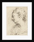 Head of a woman by Pietro Antonio III Novelli