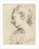 Head of a woman by Pietro Antonio III Novelli