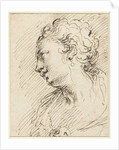 Head of a woman by Pietro Antonio III Novelli