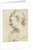 Head of a woman by Pietro Antonio III Novelli