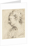 Head of a woman by Pietro Antonio III Novelli