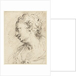 Head of a woman by Pietro Antonio III Novelli