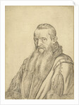 Portrait of a theologian by Hendrick Goltzius