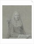 Portrait of an Amsterdam magistrate by Jan Wandelaar