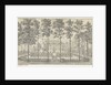 View of the house Voorstonden or Appeltern The Netherlands by Dirk van der Burg