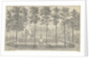 View of the house Voorstonden or Appeltern The Netherlands by Dirk van der Burg