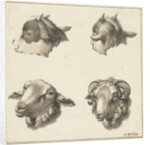 Four heads of goats and sheep by Barend Hendrik Thier