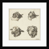 Four heads of goats and sheep by Barend Hendrik Thier