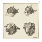 Four heads of goats and sheep by Barend Hendrik Thier