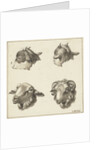 Four heads of goats and sheep by Barend Hendrik Thier
