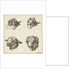 Four heads of goats and sheep by Barend Hendrik Thier