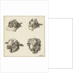Four heads of goats and sheep by Barend Hendrik Thier