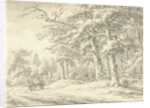 Noordlaren in Drenthe The Netherlands by Egbert van Drielst