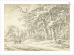 Noordlaren in Drenthe The Netherlands by Egbert van Drielst