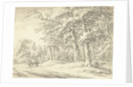 Noordlaren in Drenthe The Netherlands by Egbert van Drielst