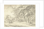 Noordlaren in Drenthe The Netherlands by Egbert van Drielst