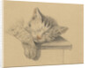 A sleeping cat by Jean Bernard