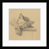 A sleeping cat by Jean Bernard
