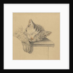 A sleeping cat by Jean Bernard