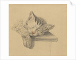 A sleeping cat by Jean Bernard