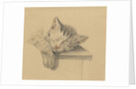 A sleeping cat by Jean Bernard