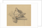 A sleeping cat by Jean Bernard