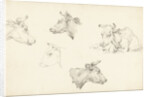 Four studies of the head of a cow by Jean Bernard