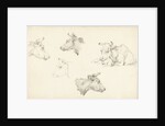 Four studies of the head of a cow by Jean Bernard