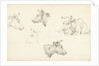 Four studies of the head of a cow by Jean Bernard