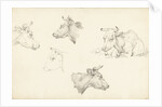 Four studies of the head of a cow by Jean Bernard