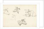 Four studies of the head of a cow by Jean Bernard