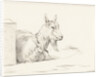 Goat by Jean Bernard