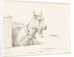 Goat by Jean Bernard