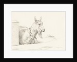 Goat by Jean Bernard