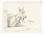 Goat by Jean Bernard