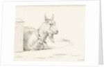 Goat by Jean Bernard