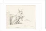 Goat by Jean Bernard