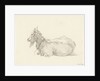 Reclining goat by Jean Bernard
