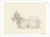 Reclining goat by Jean Bernard