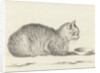Reclining cat by Jean Bernard
