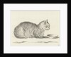 Reclining cat by Jean Bernard